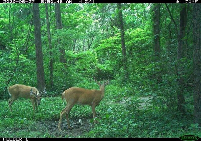 10708 Battlefield Memorial Highway, Berea, KY 40403