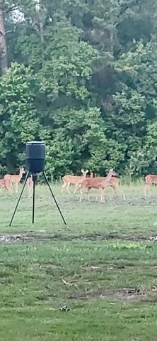 20726 Squaw Valley Trail, Crosby, TX 77532