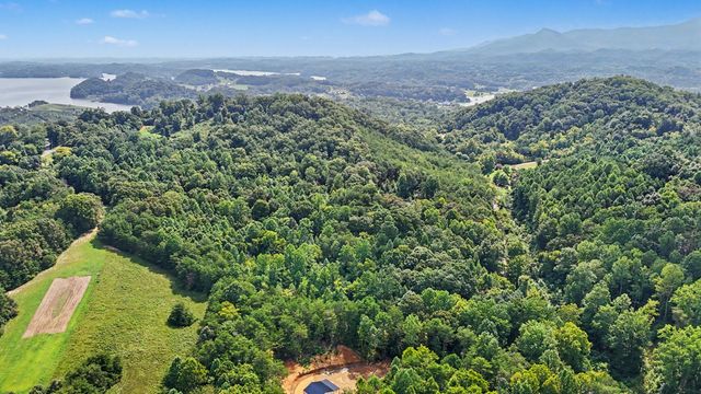 1570 Sandy Ridge Rd, Dandridge, TN 37725