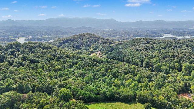 1570 Sandy Ridge Rd, Dandridge, TN 37725