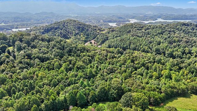 1570 Sandy Ridge Rd, Dandridge, TN 37725