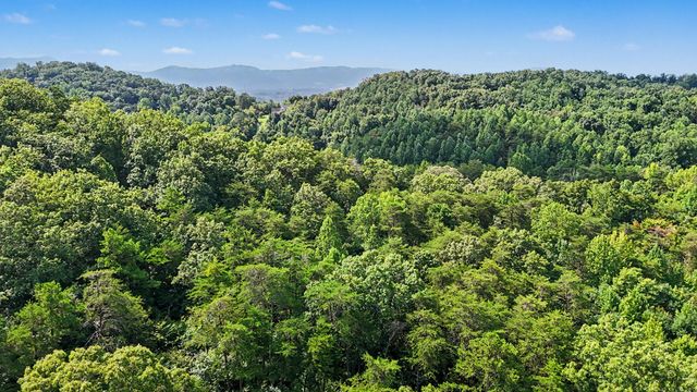 1570 Sandy Ridge Rd, Dandridge, TN 37725