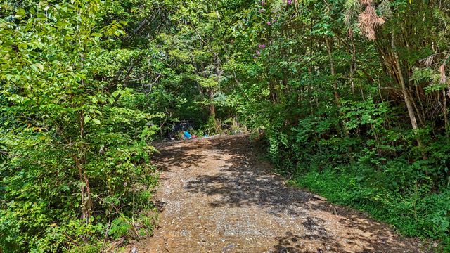 1570 Sandy Ridge Rd, Dandridge, TN 37725