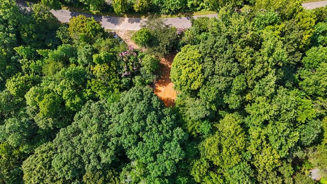 1570 Sandy Ridge Rd, Dandridge, TN 37725
