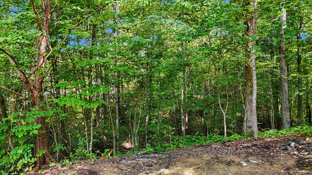 1570 Sandy Ridge Rd, Dandridge, TN 37725