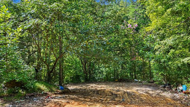 1570 Sandy Ridge Rd, Dandridge, TN 37725