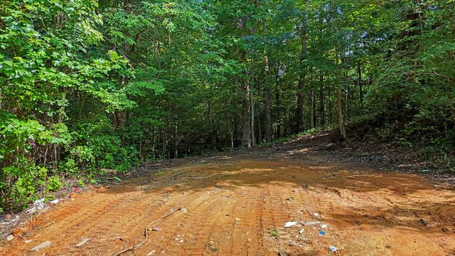 1570 Sandy Ridge Rd, Dandridge, TN 37725