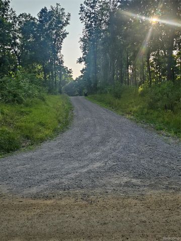 03 N Hughes Rd Road, Oceola Township, MI 48843