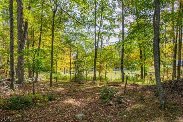 152 New Rd, Montague Twp., NJ 07827