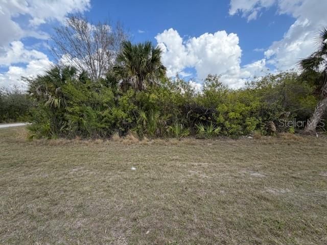 490 THERESA BOULEVARD, Port Charlotte, FL 33954