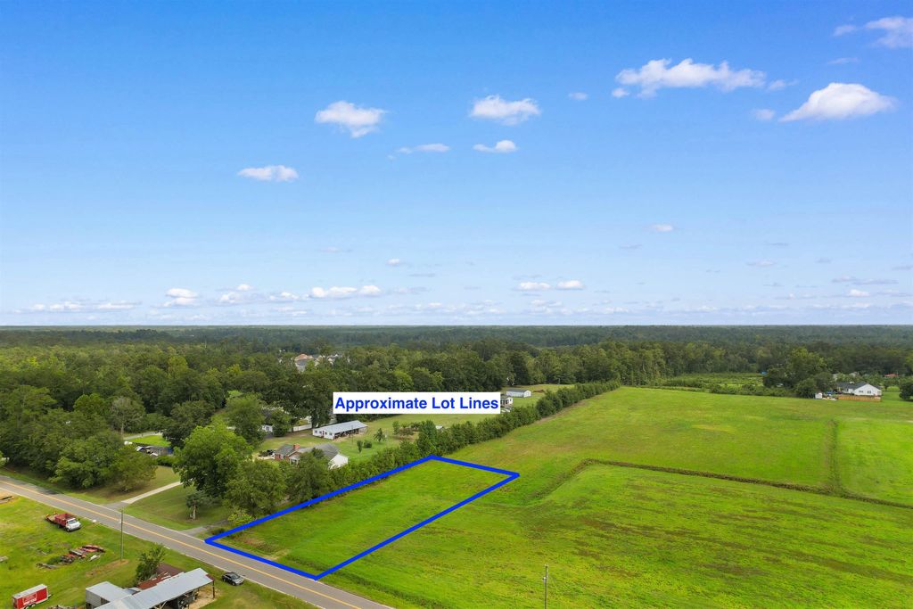 TBD Zion Rd., Galivants Ferry, SC 29544 — photo 3
