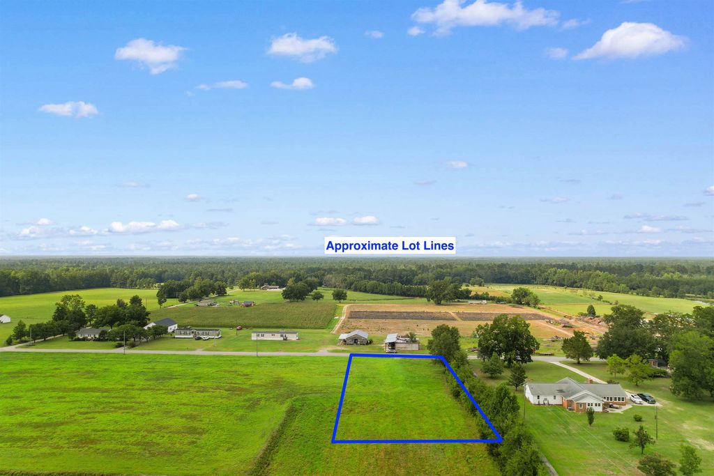 TBD Zion Rd., Galivants Ferry, SC 29544 — photo 4