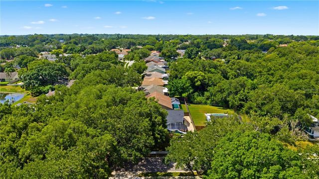3040 WINDRIDGE OAKS DRIVE, Palm Harbor, FL 34684