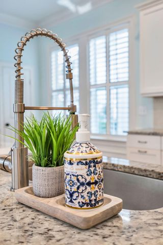 1876 Village Crossing Drive, Charleston, SC 29492