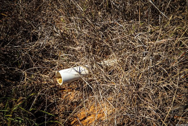 320 county road 341, Jourdanton, TX 78026