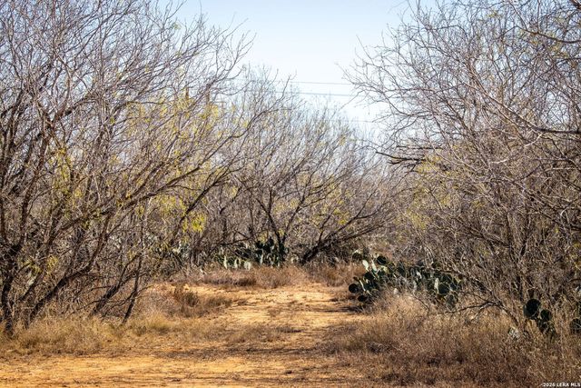 320 county road 341, Jourdanton, TX 78026