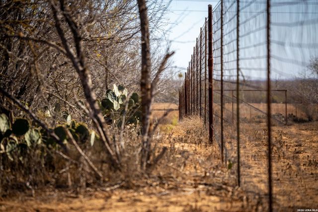 320 county road 341, Jourdanton, TX 78026