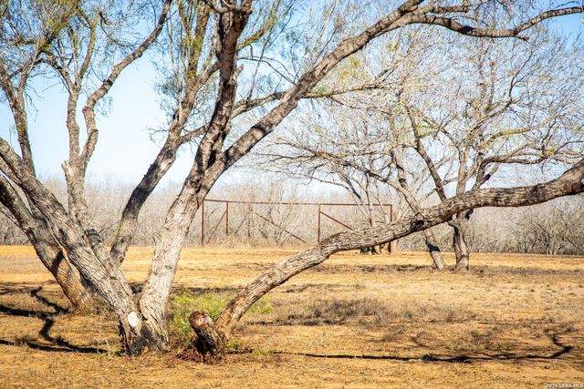 320 county road 341, Jourdanton, TX 78026