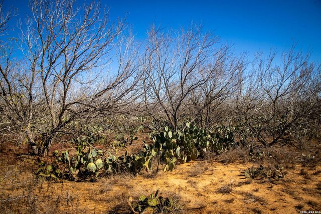 320 county road 341, Jourdanton, TX 78026