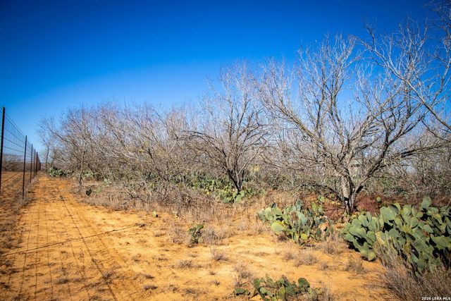 320 county road 341, Jourdanton, TX 78026