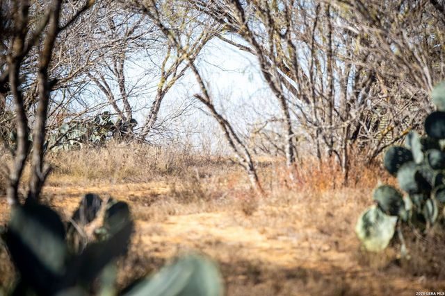 320 county road 341, Jourdanton, TX 78026