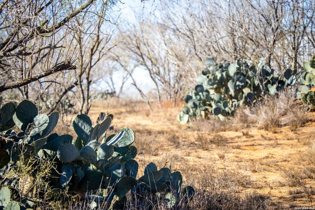 320 county road 341, Jourdanton, TX 78026