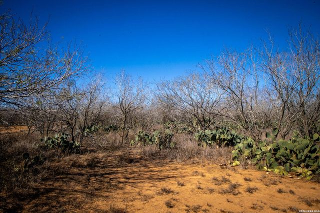 320 county road 341, Jourdanton, TX 78026