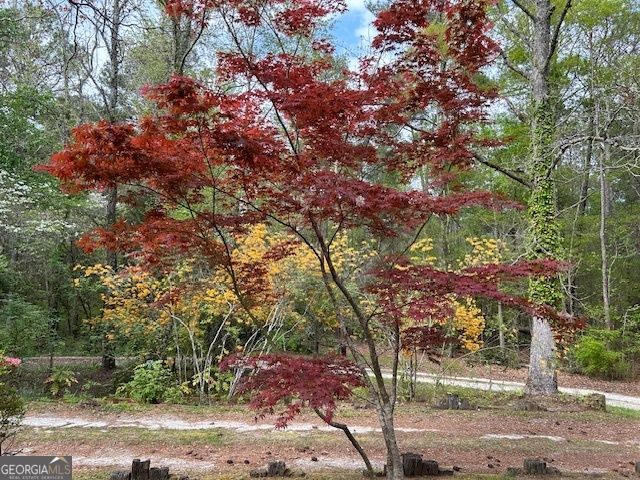 85 Holly Lane, Woodbury, GA 30293