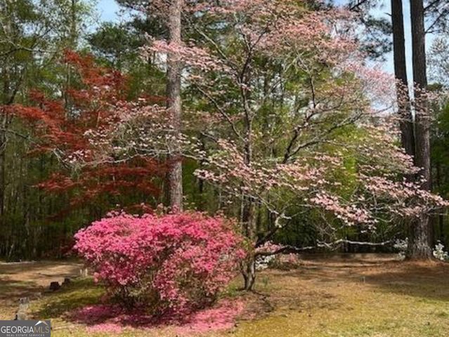 85 Holly Lane, Woodbury, GA 30293