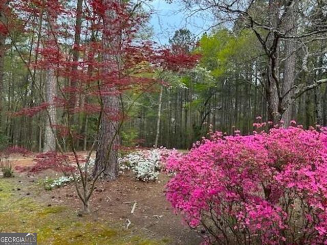 85 Holly Lane, Woodbury, GA 30293