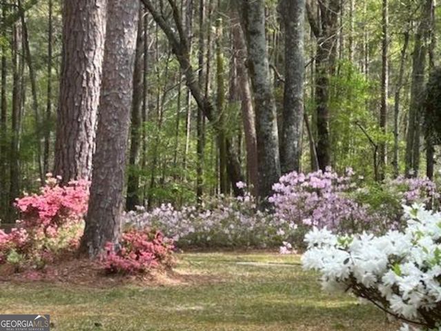 85 Holly Lane, Woodbury, GA 30293