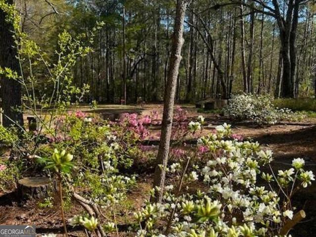 85 Holly Lane, Woodbury, GA 30293