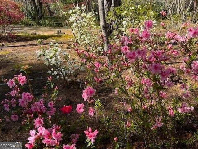 85 Holly Lane, Woodbury, GA 30293