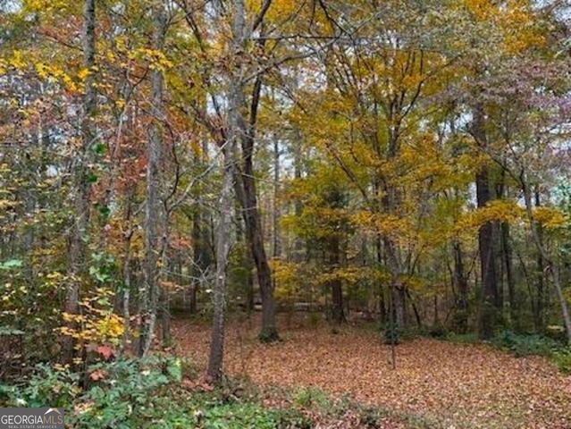 85 Holly Lane, Woodbury, GA 30293