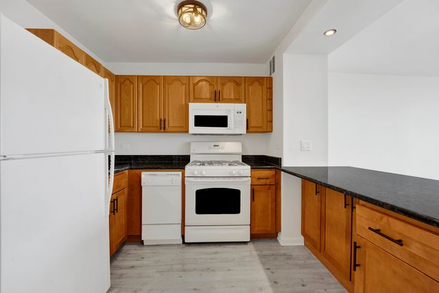 2800 N LAKE SHORE Drive 3113, Chicago, IL 60657