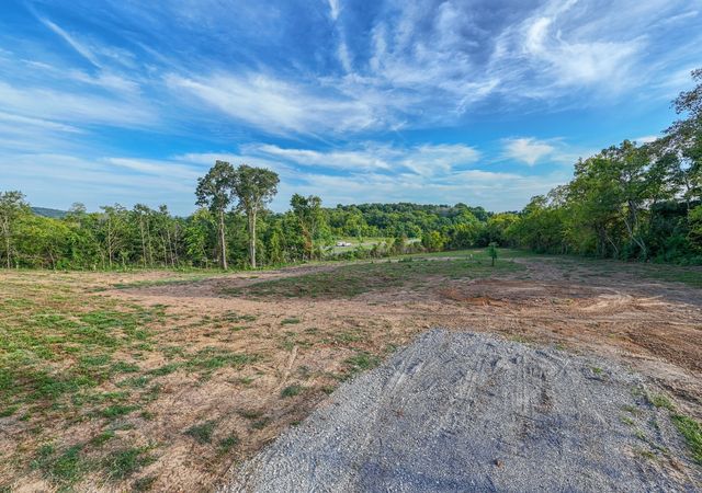 0 Murfreesboro Rd, College Grove, TN 37046