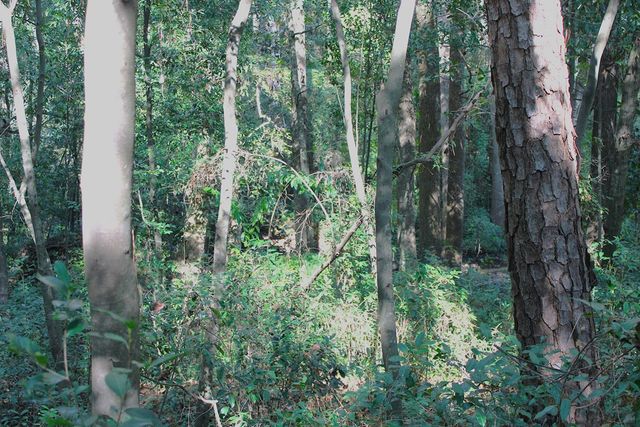 0 Big Spring Drive, Phenix City, AL 36870