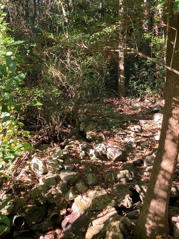 0 Big Spring Drive, Phenix City, AL 36870