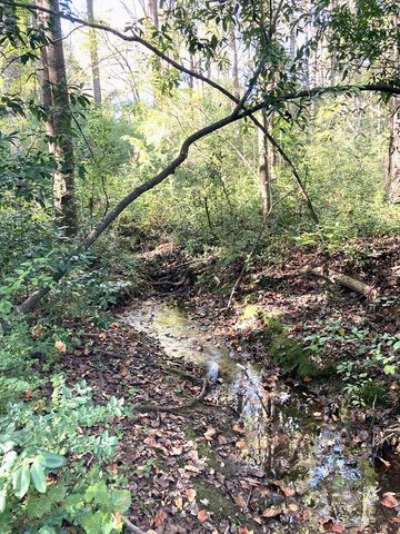 0 Big Spring Drive, Phenix City, AL 36870