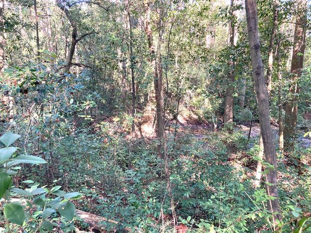 0 Big Spring Drive, Phenix City, AL 36870