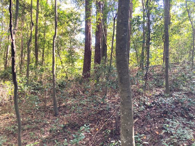 0 Big Spring Drive, Phenix City, AL 36870