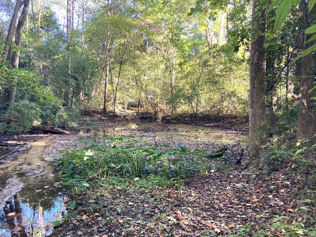 0 Big Spring Drive, Phenix City, AL 36870