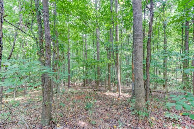 3358 Eberhart Cemetery Road, Gainesville, GA 30507