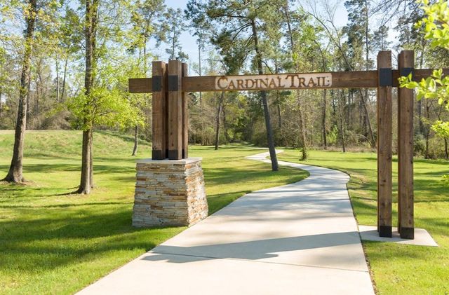 8119 Messina Mount Drive, Magnolia, TX 77354