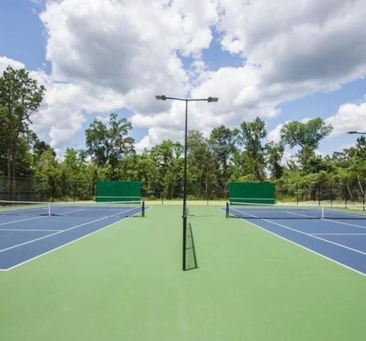 8119 Messina Mount Drive, Magnolia, TX 77354