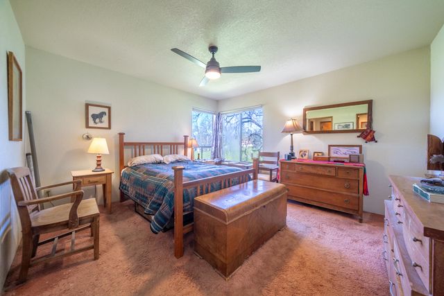 10257 Swede Creek Road, Palo Cedro, CA 96073