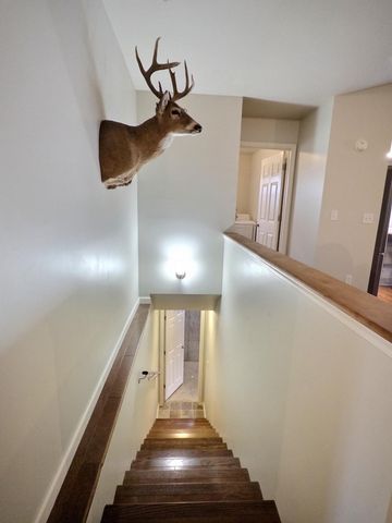 2447 U.S. 60, Fremont, MO 63941