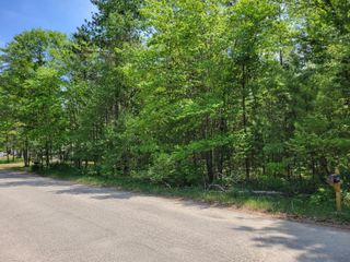 Lot #31 Helen Drive, Grayling, MI 49738