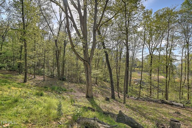 816 Burwind Court, Kingsport, TN 37660