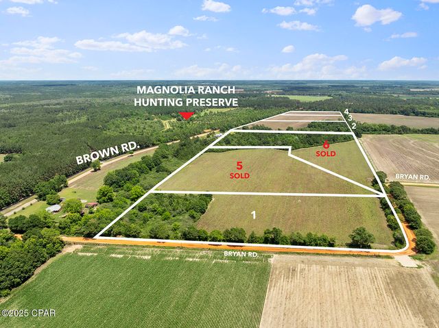 TBD Brown Road Lot 4, Defuniak Springs, FL 32433